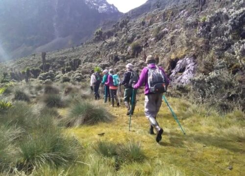 3 days rwenzori camping