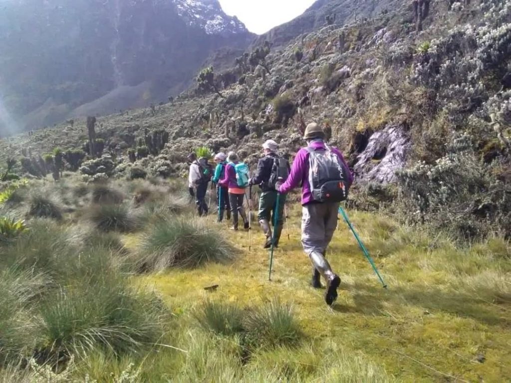 3 days rwenzori camping